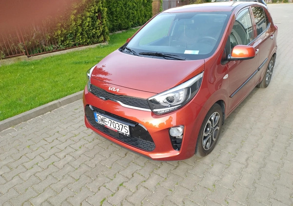 Kia Picanto cena 69900 przebieg: 18000, rok produkcji 2022 z Wejherowo małe 154